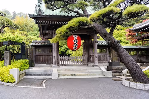 Boundless Life Kamakura