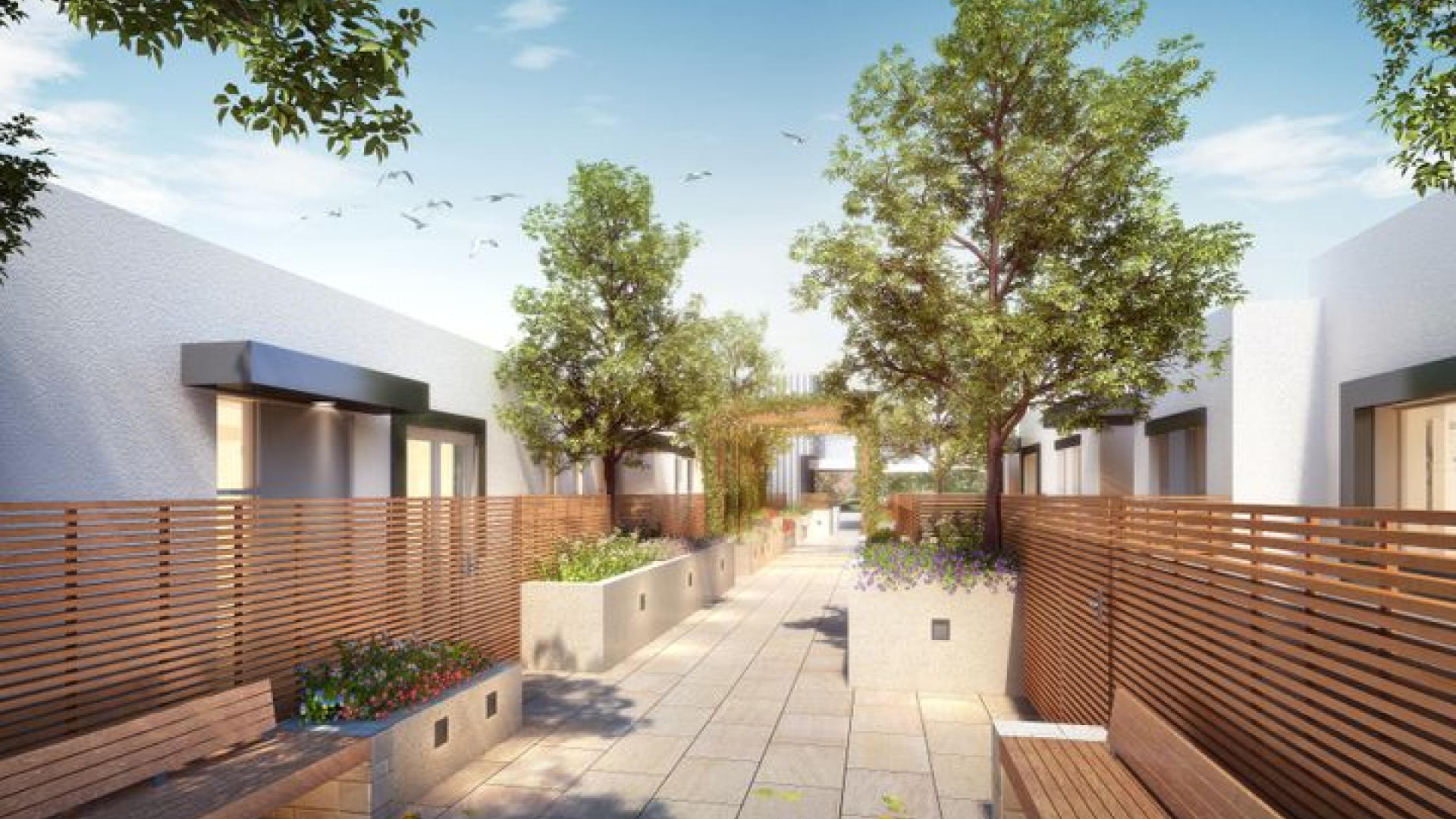 Completed 2022 - Development of 12 villas and 3 penthouses located in St Ives in a highly-sought-after area for senior living.