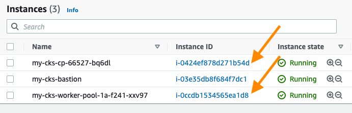 how to find out the internal IP addresses of the control plane and worker node