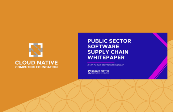 Public Sector Software Supply Chain Whitepaper