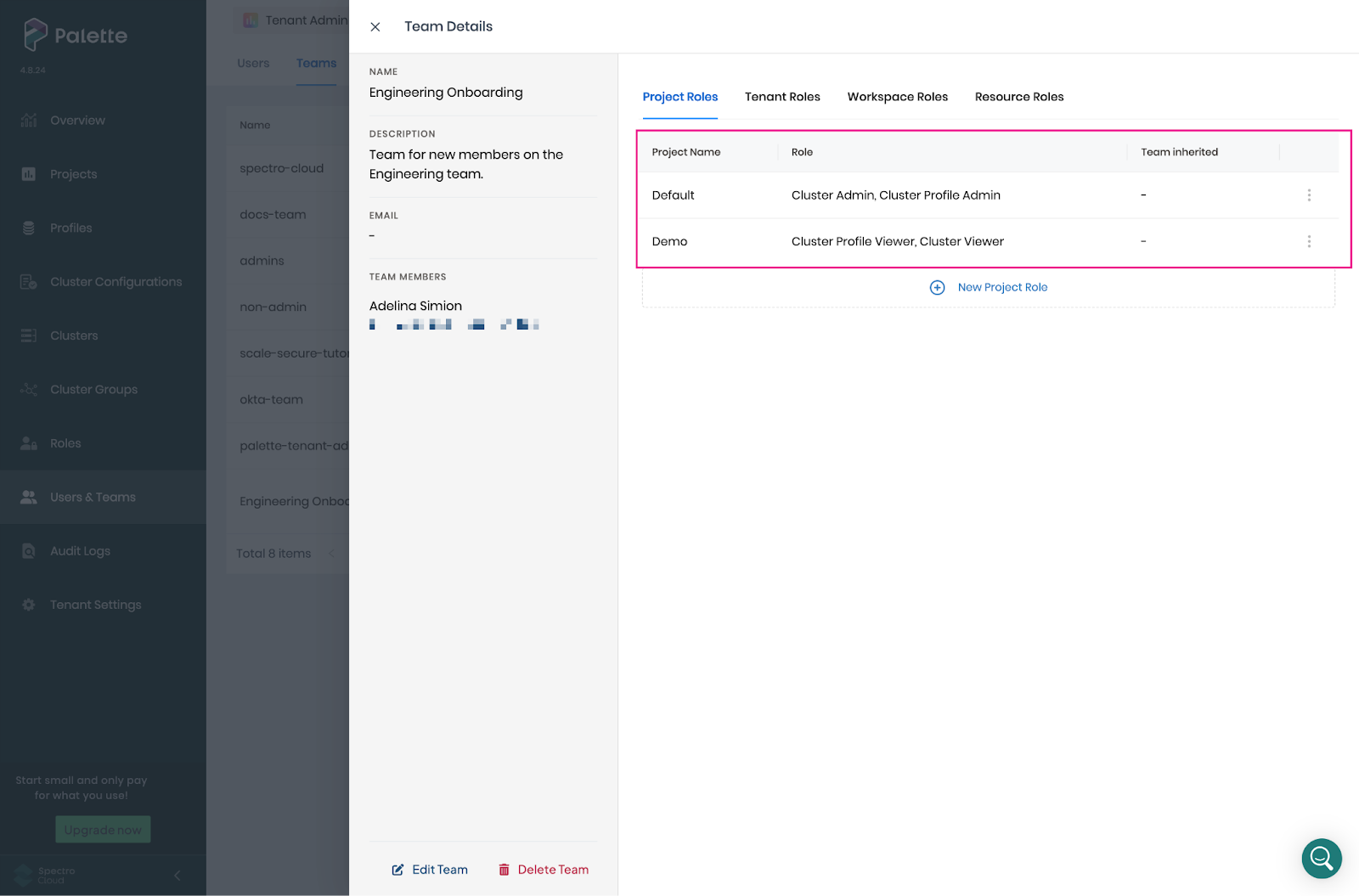 Cluster View roles in the Demo project