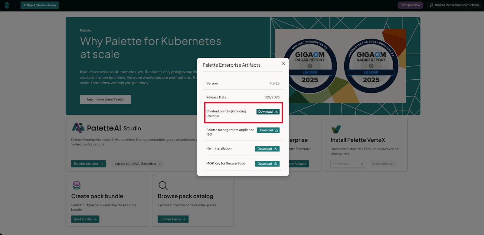 Enterprise artifacts