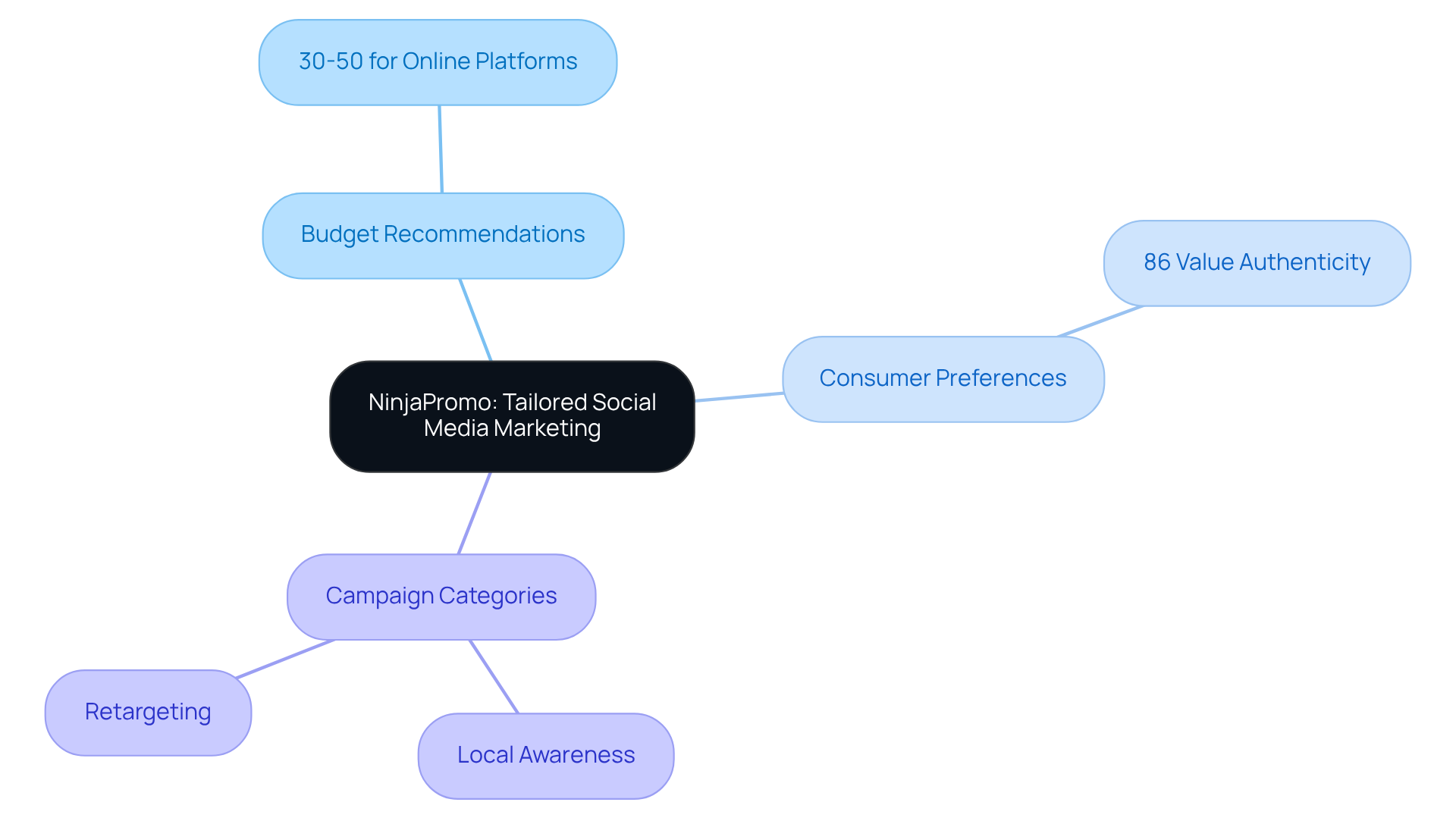 The center represents NinjaPromo's focus on small businesses, with branches showing how budget, consumer insights, and campaign types contribute to effective marketing strategies. The center represents NinjaPromo's focus on small businesses, with branches showing how budget, consumer insights, and campaign types contribute to effective marketing strategies.
