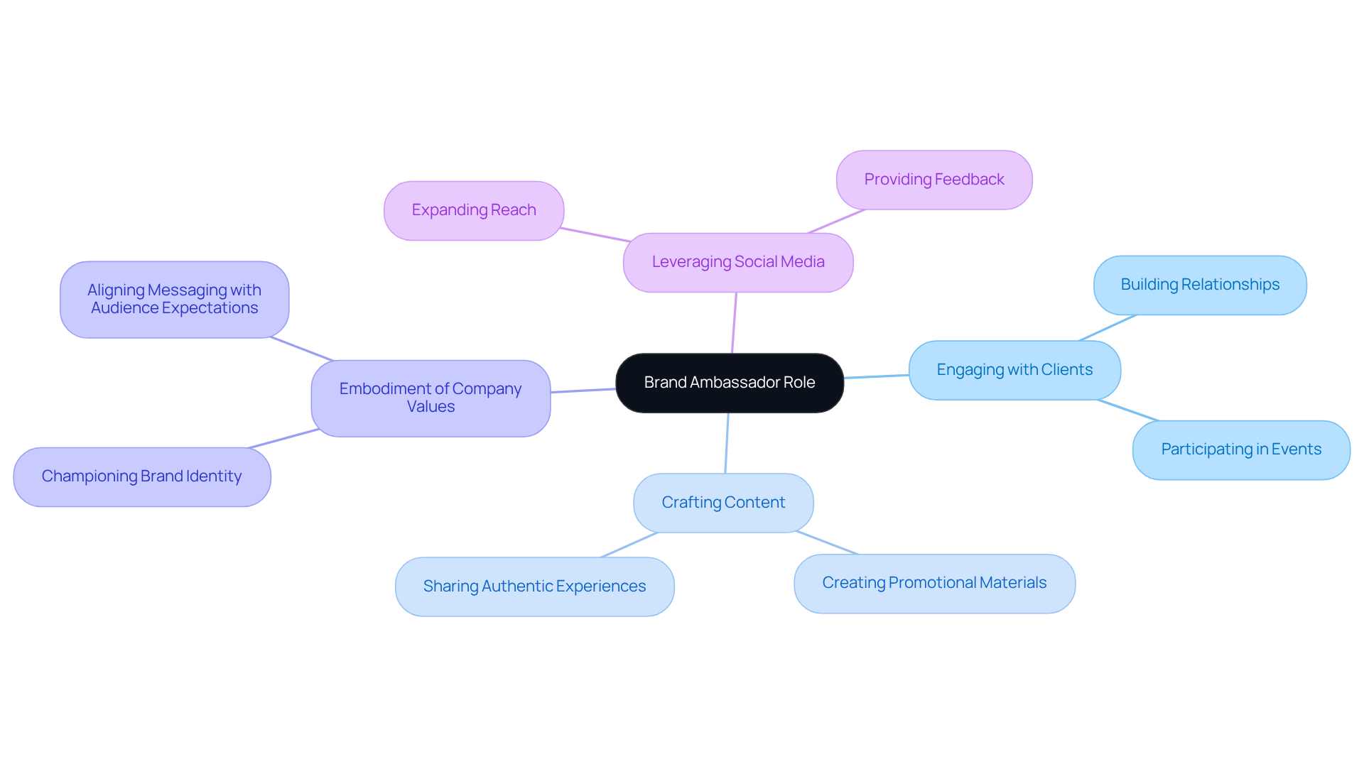 Start at the center with the main role of a brand ambassador, then explore the branches to see their key responsibilities and how they contribute to the company's success.