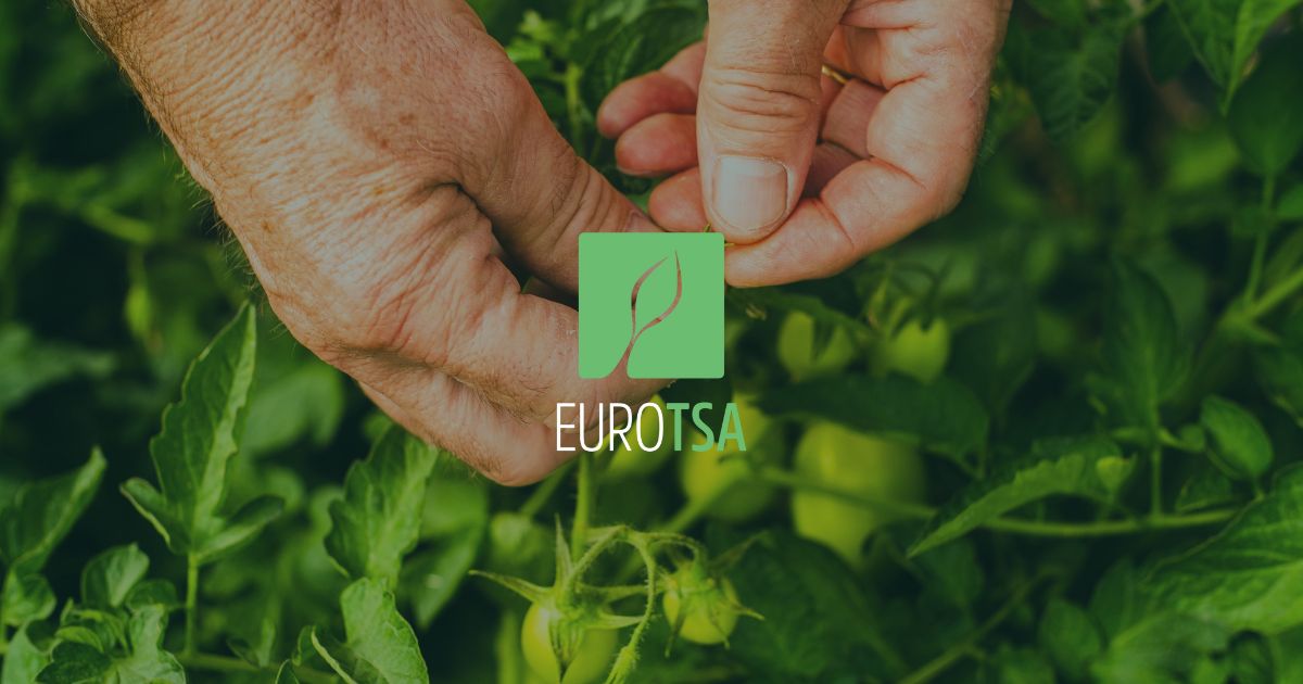 (c) Eurotsa.it