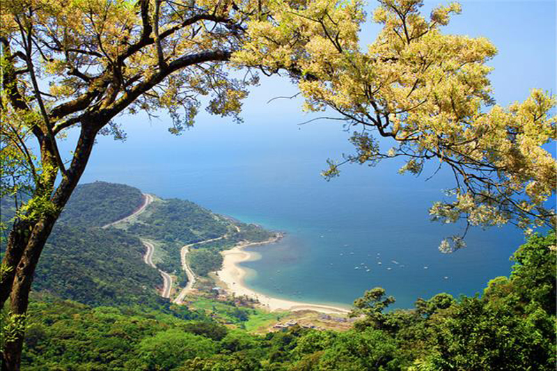 All You Need to Know about Son Tra Peninsula - You in Da Nang