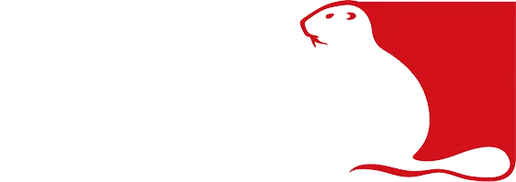 Kiwa logo