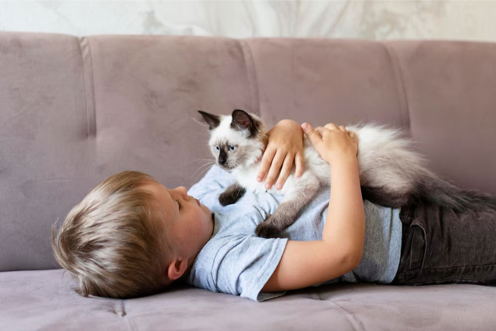 cat hugged by a child with autism