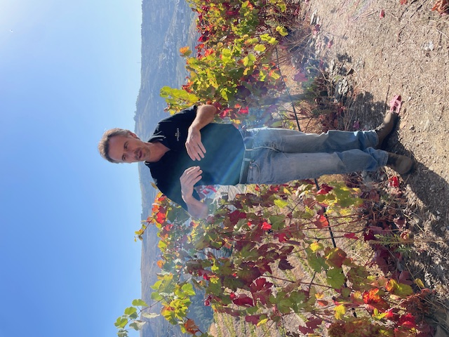 Diogo Frey Ramos | Duas ÀRVORES