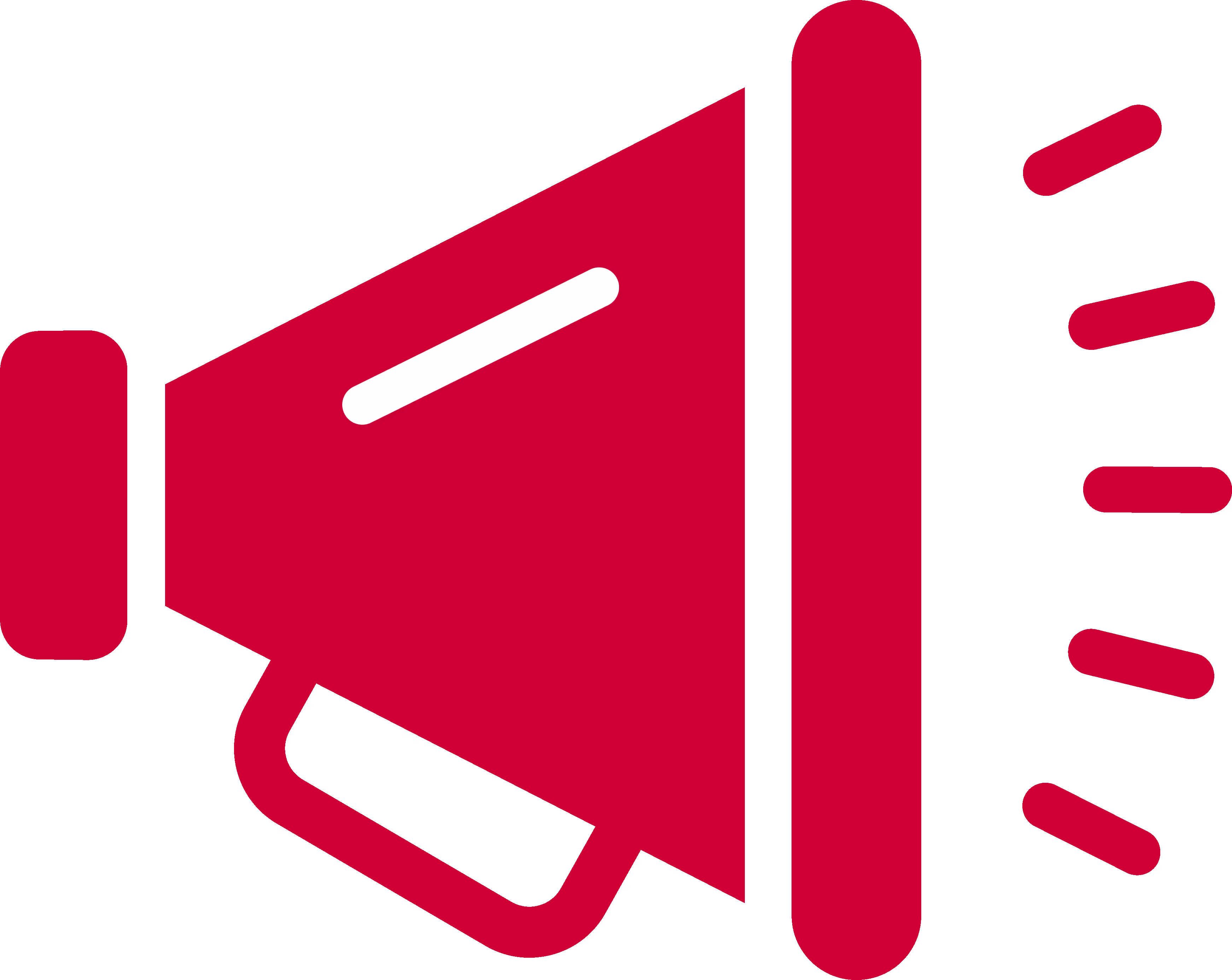 A Megaphone Icon