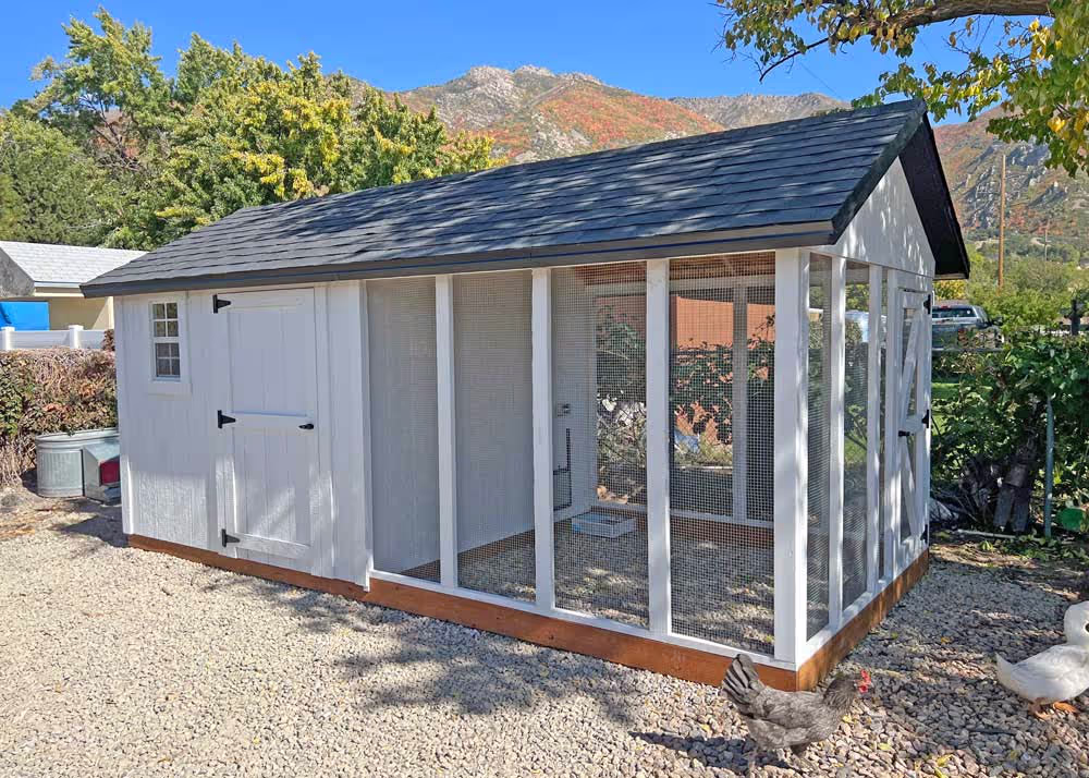 A 6 foot by 14 foot Coop De'Ville chicken coop in all white