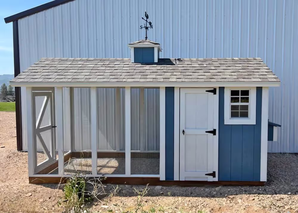 A Navy Blue and white 6 foot by 14 foot Coop De'Ville chicken coop up against a steel building