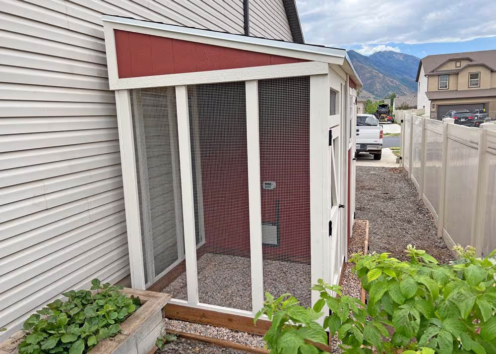 A custom Lean-To Shed chicken coop with a run