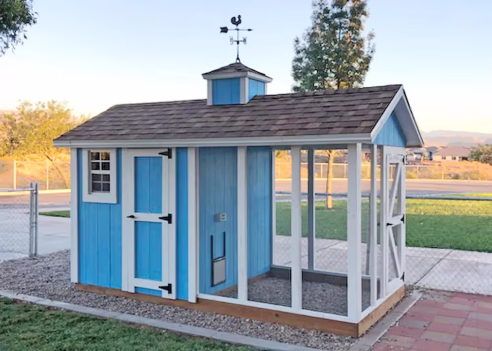 6 foot by 12 foot blue and white Coop DeVille chicken coop with cupola and rooster weathervane