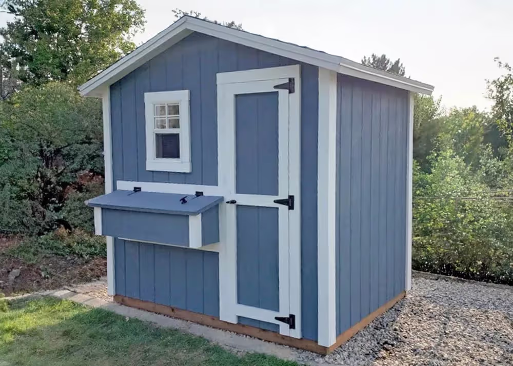 A custom 8 foot by 6 foot Standard Apex Shed Converted to a chicken coop