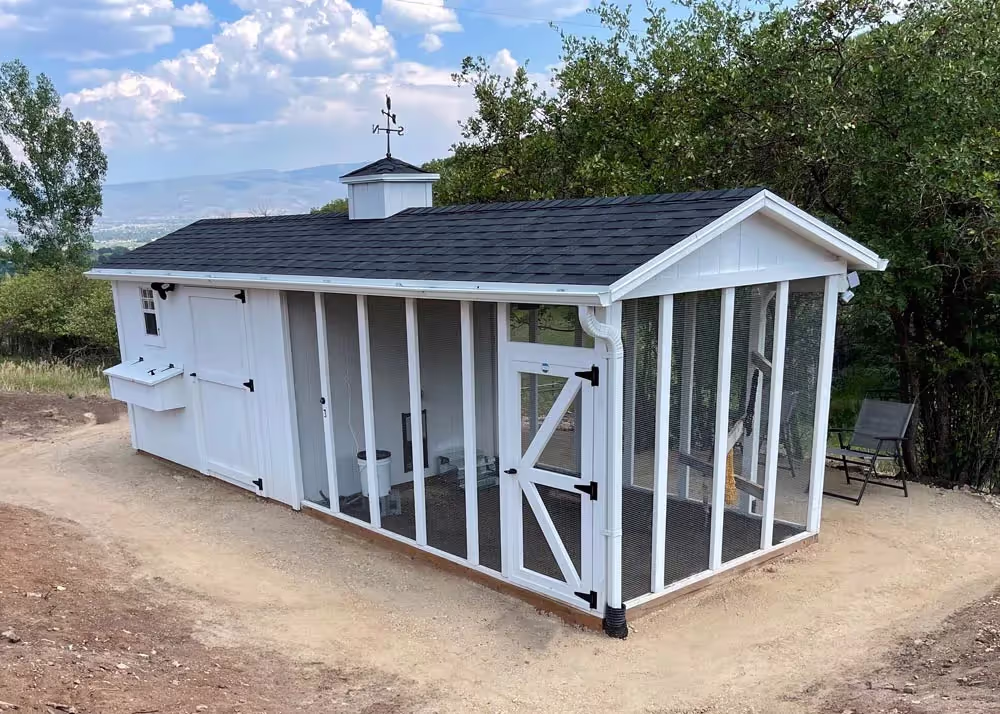 A custom 8' by 20' chicken coop with run and cupola and many options