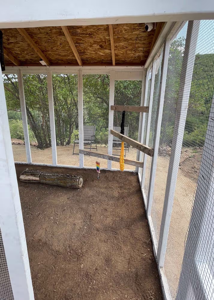 The interior of a chicken run