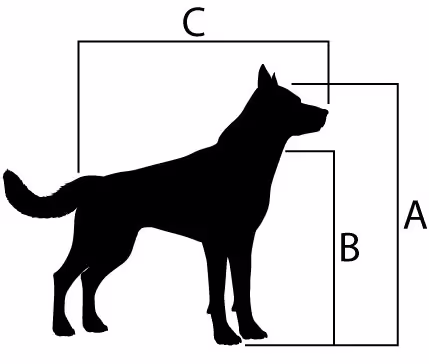 How to measure your dog
