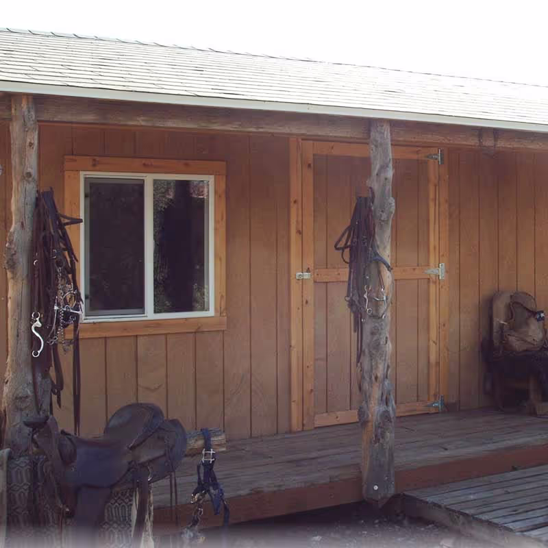 Shed with T-111 natural wood siding for a rustic, durable, and weather-resistant storage solution