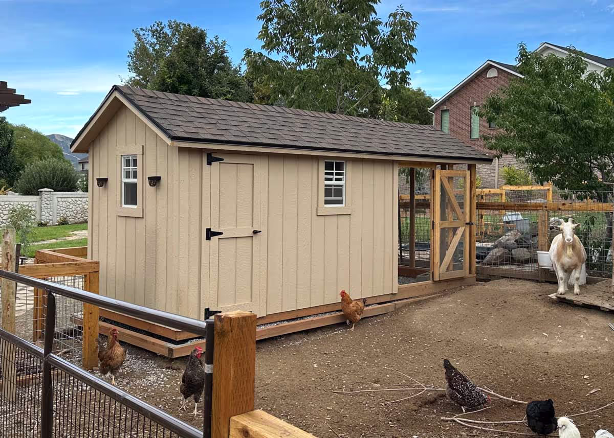 A custom chicken coop with a divider wall and a storage area