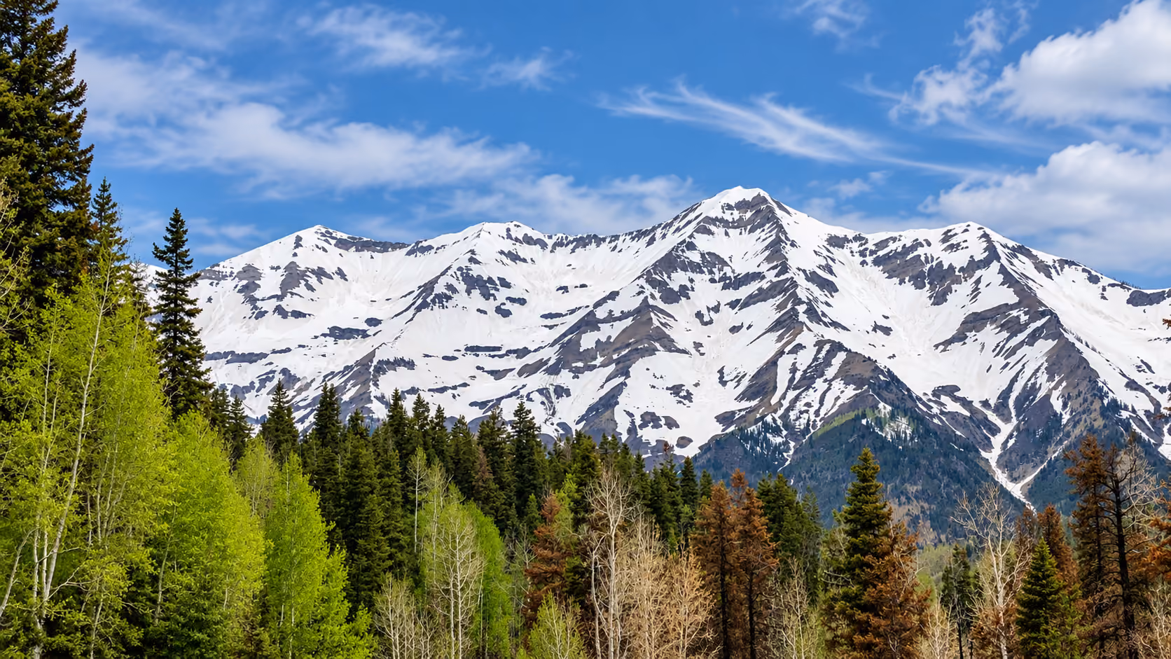 Replace with a Juab County shed or local landscape photo