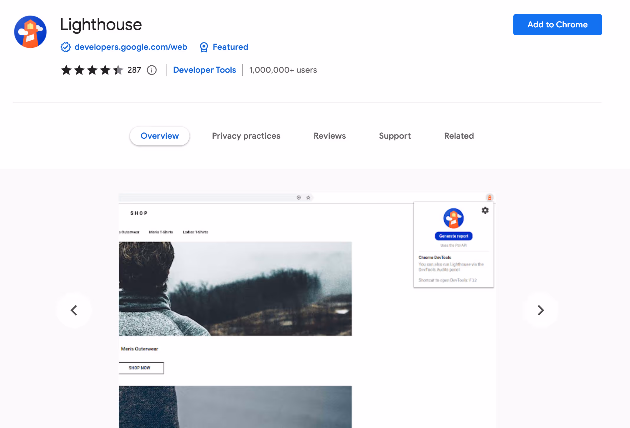 Lighthouse chrome extension screenshot