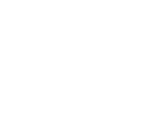 Beeloyal Icon white