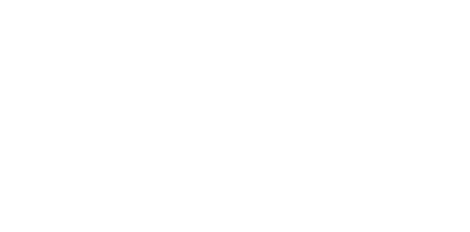 Logo Bao Bao