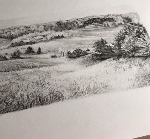 Bleistift Zeichnung Landschaft Wiesen Bäume Livarto Schüler Konstantin R.