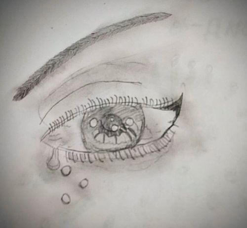 Bleistift Zeichnung Weibliches Auge Wimper Augenbraue Livarto Schülerin Tanja L.