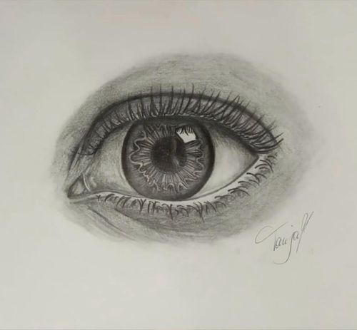 Bleistift Zeichnung Realistisches Weibliches Auge Wimper Augenbraue Livarto Schülerin Tanja L.