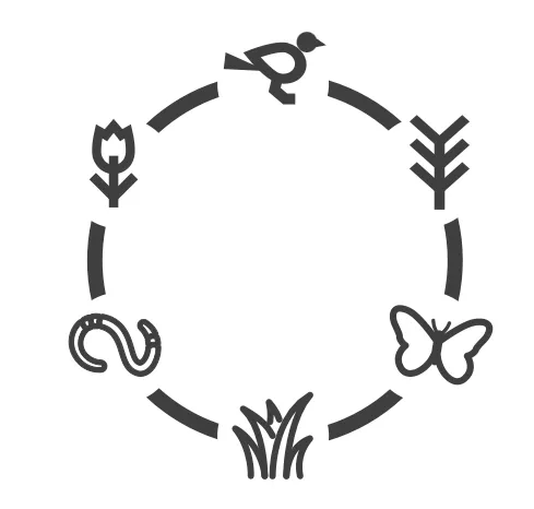 a circle with arrows and a butterfly
