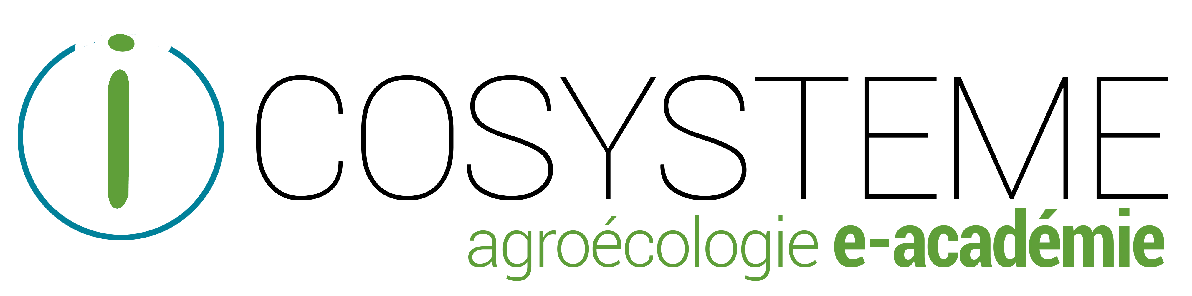 logo icosysteme