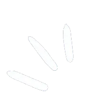 sparkle white