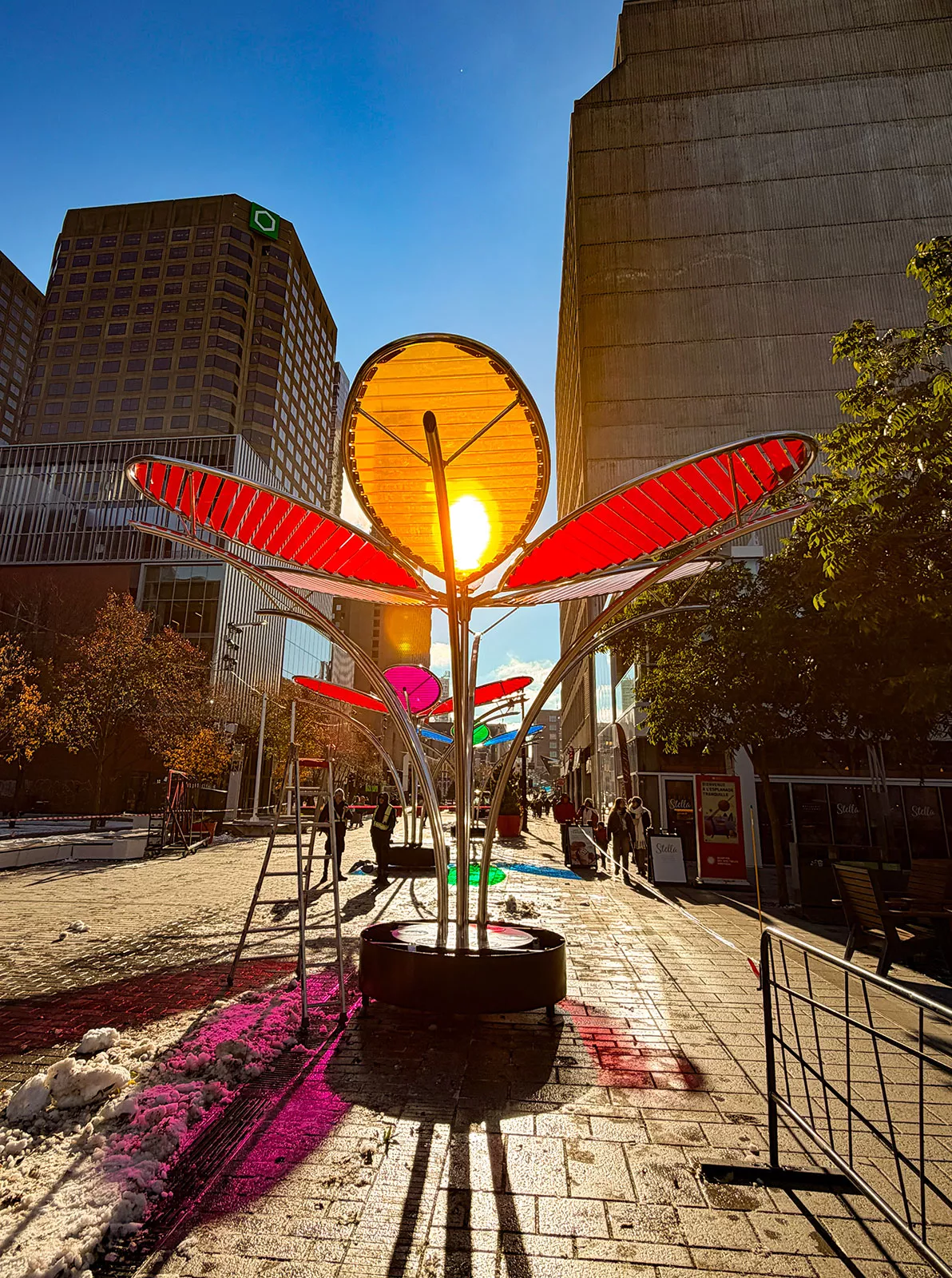 shadow pop lumino montreal