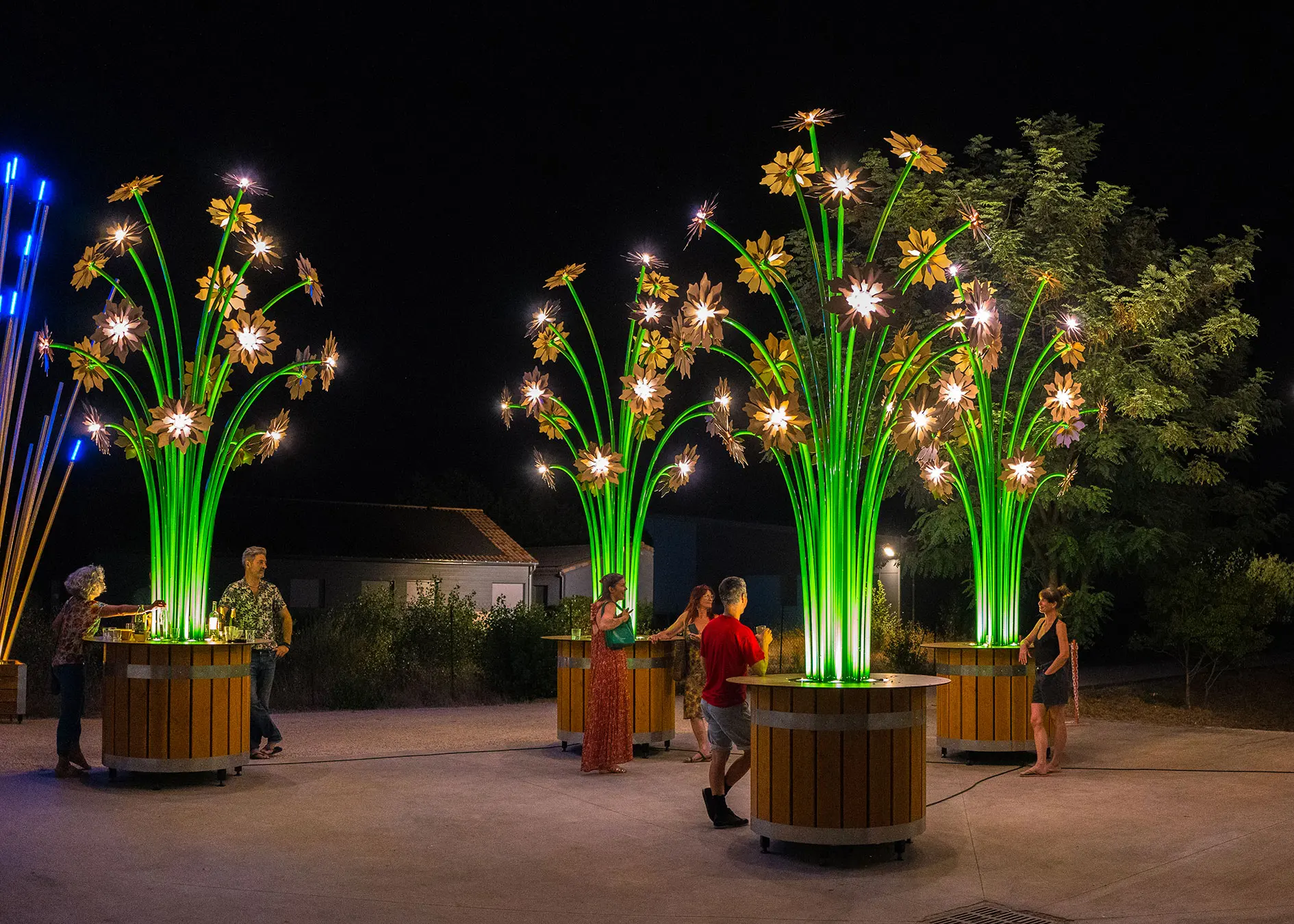 tilt lightart vivaces lumiere