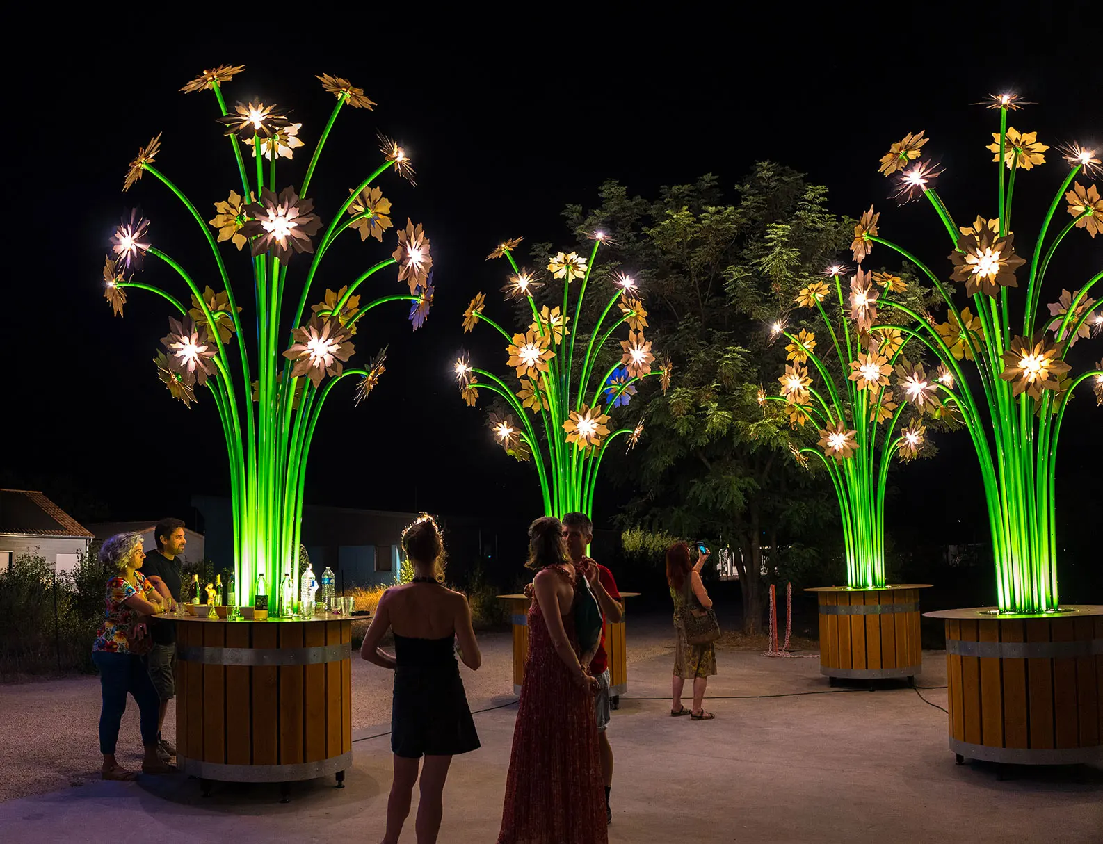 tilt lightart vivaces lumiere