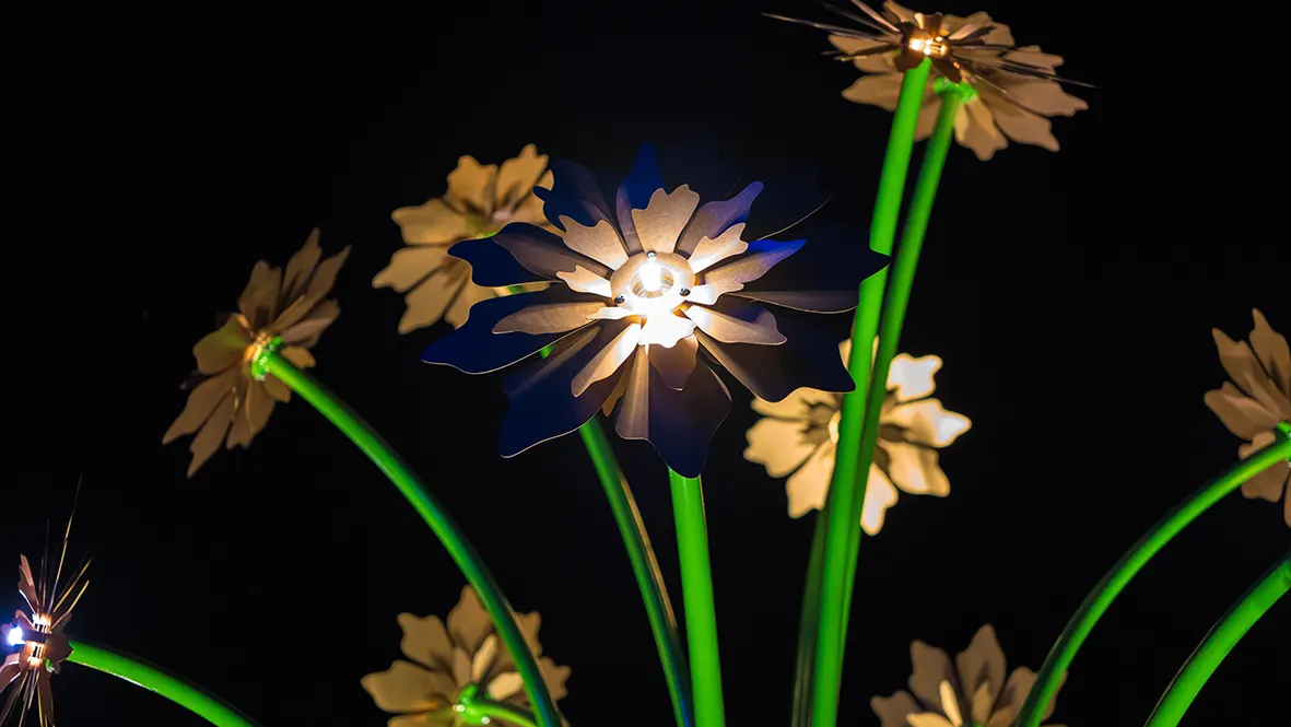 tilt lightart vivaces lumiere