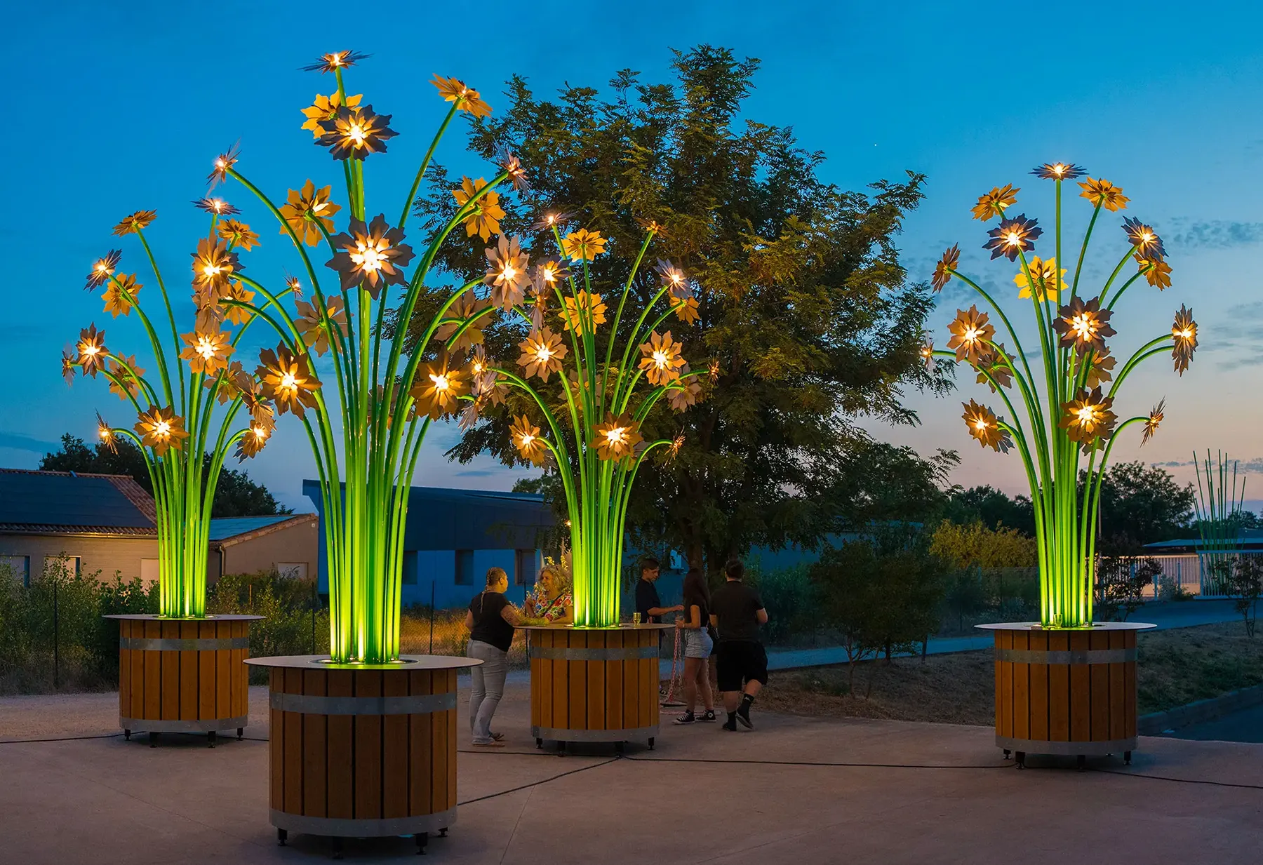 tilt lightart vivaces lumiere