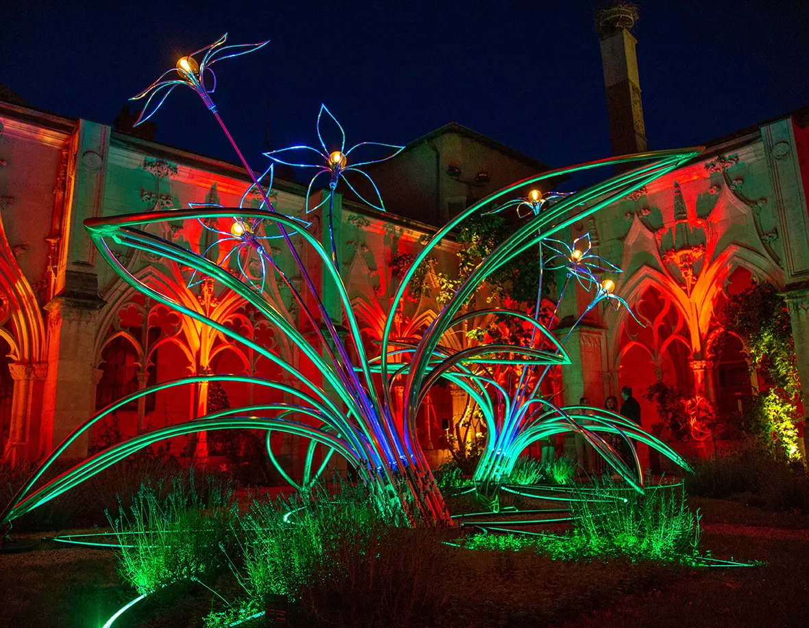 Rayonances toul parcours lumière tilt