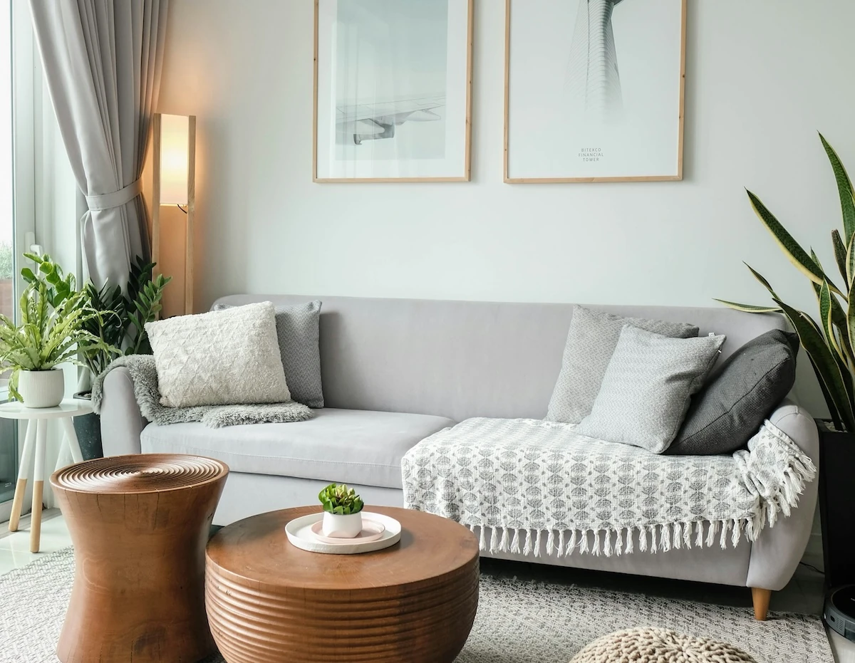 Salon avec des cadres, tapis, table basse et plantes vertes