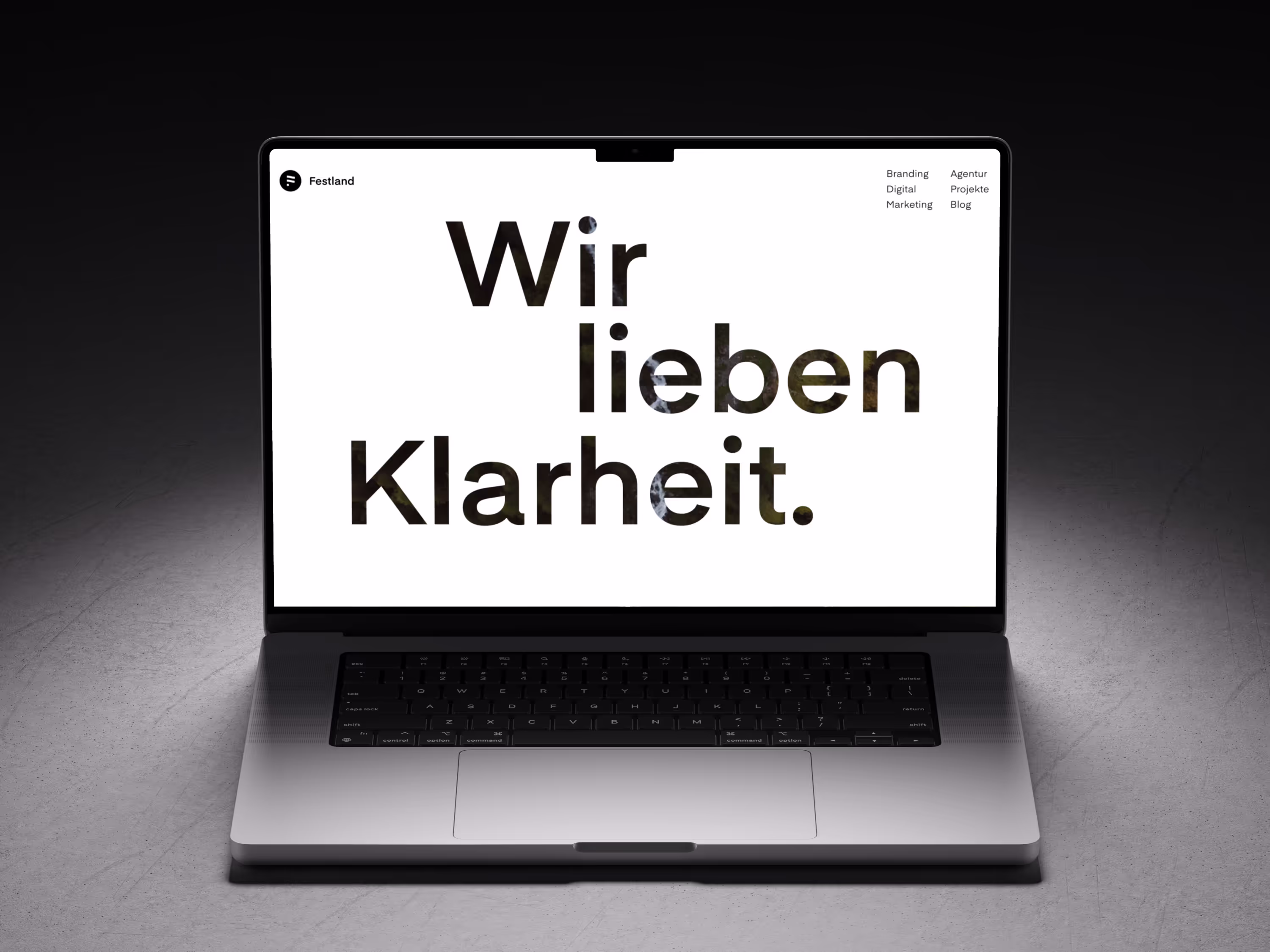 Festland cover image