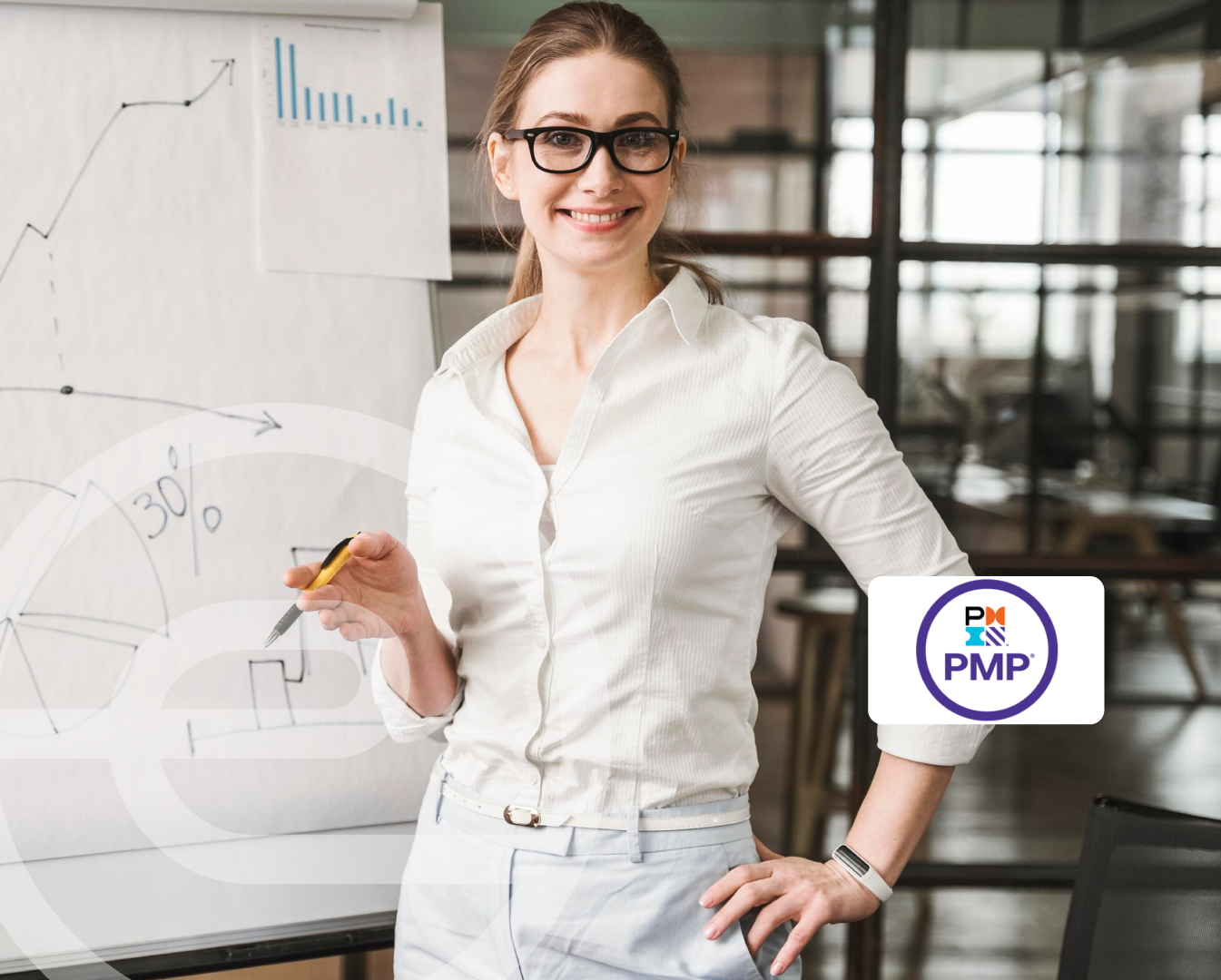 Logo certification PMP Project Management Professional PMI Elitek