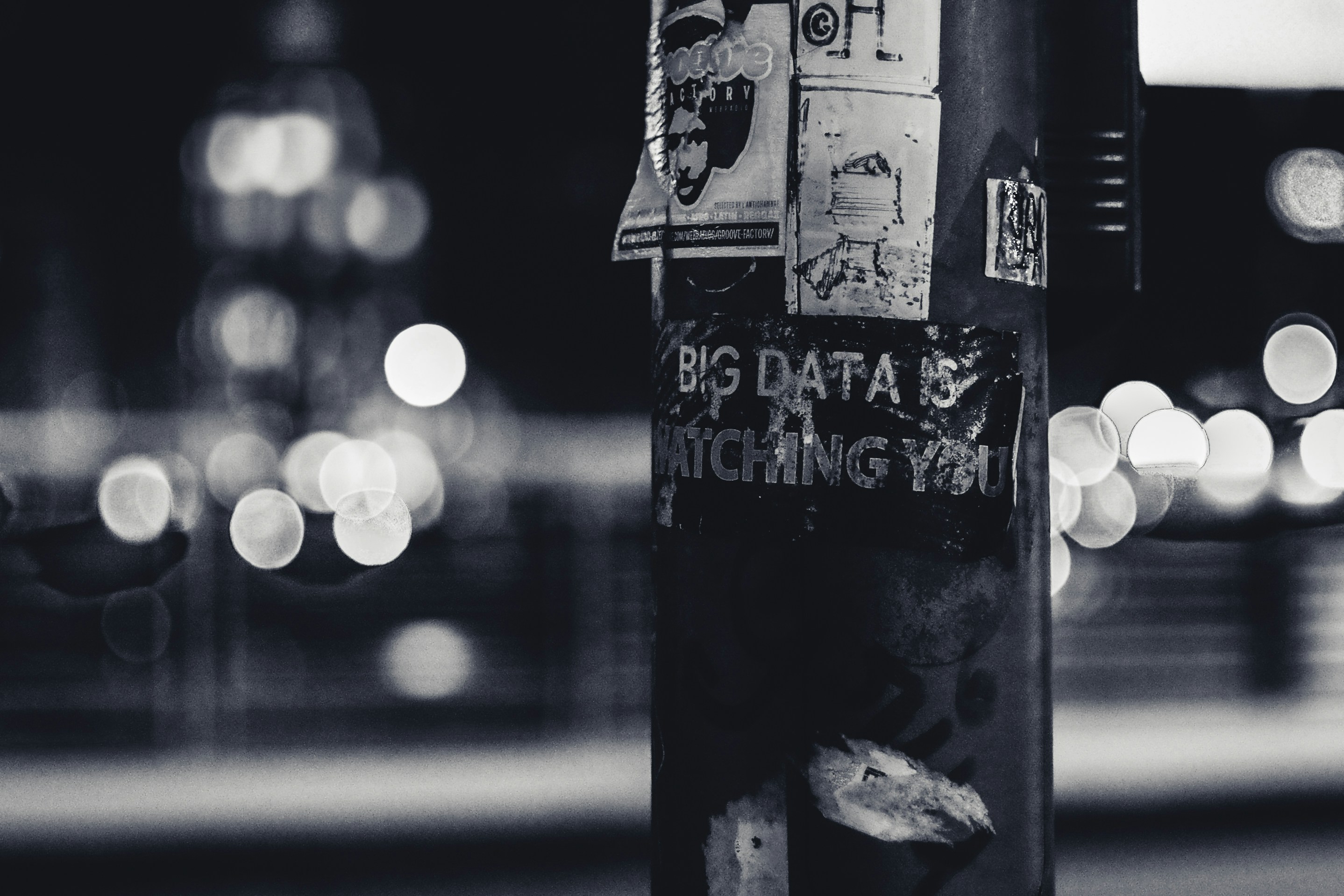 Article Elitek - Data scientist : fiche métier, rôle, missions, compétences