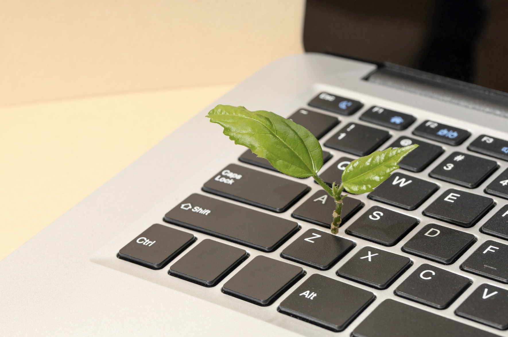 Article Elitek - 7 innovations en Green IT qui rendent l'informatique plus durable et écoresponsable