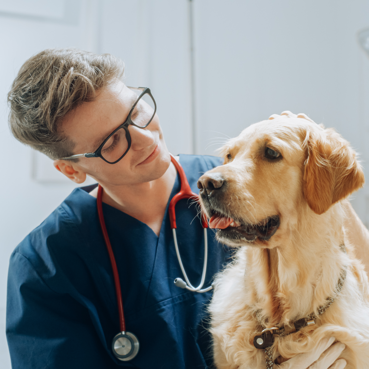 PetVet Employee Referral Program