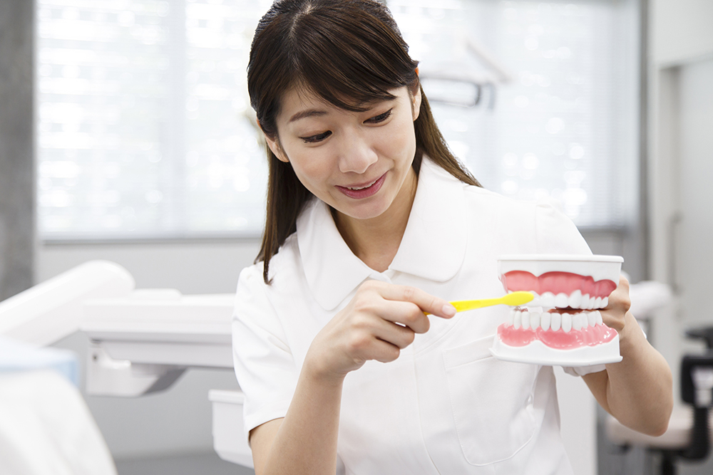 ブラッシング・ホームケア指導をしている衛生士さんの写真