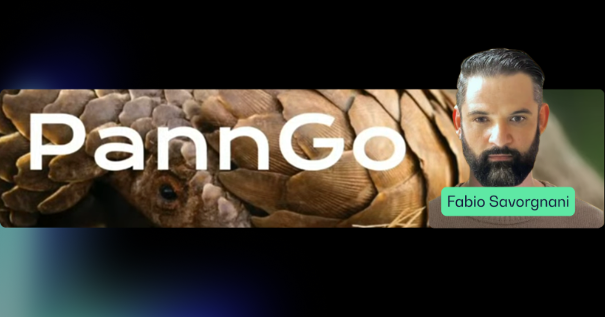 Panngo: tokenización del turismo colaborativo para un futuro sostenible