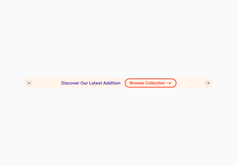 Discover Latest Addition