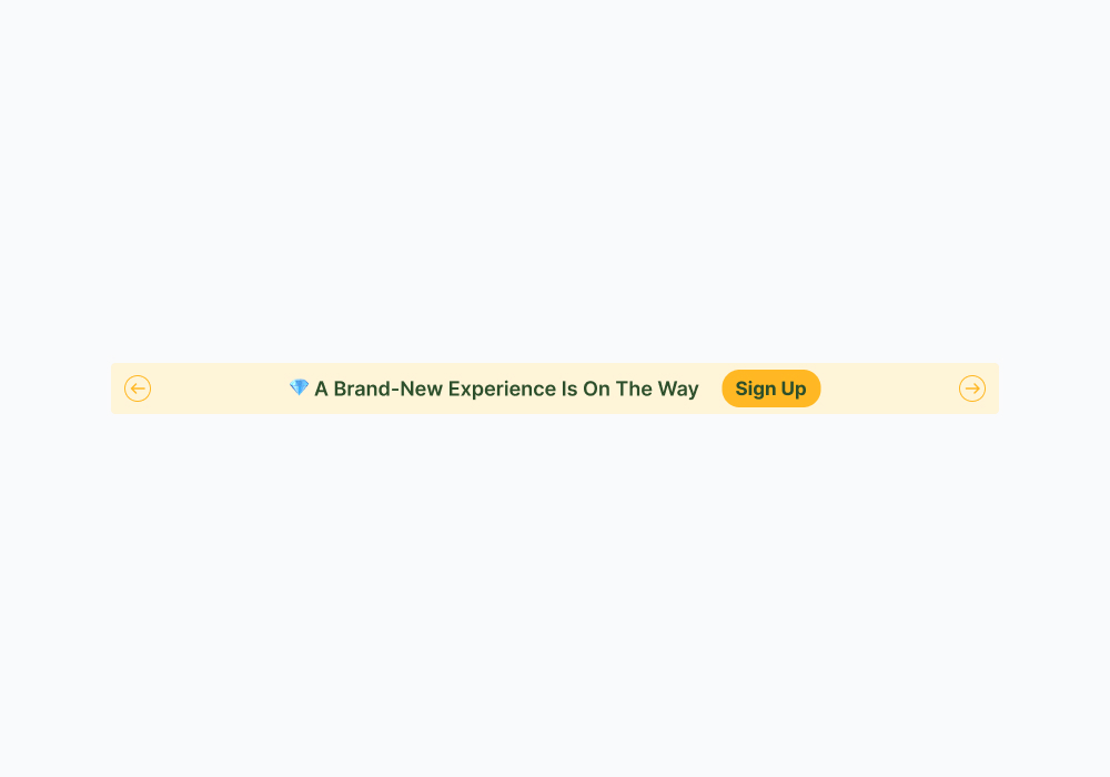 Brand-New Experience